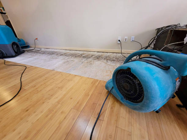 Professional Water Extraction technician working in Tacna, AZ